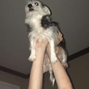 Meet your Posher, Jake